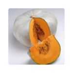 სემფსონი F1/Sampson F1