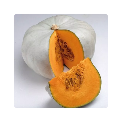 სემფსონი F1/Sampson F1