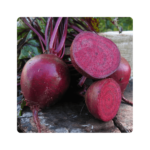 პაბლო F1/Pablo F1