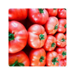 როზეტი F1/ROZETTI F1