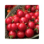 საკურა F1/SAKURA F1