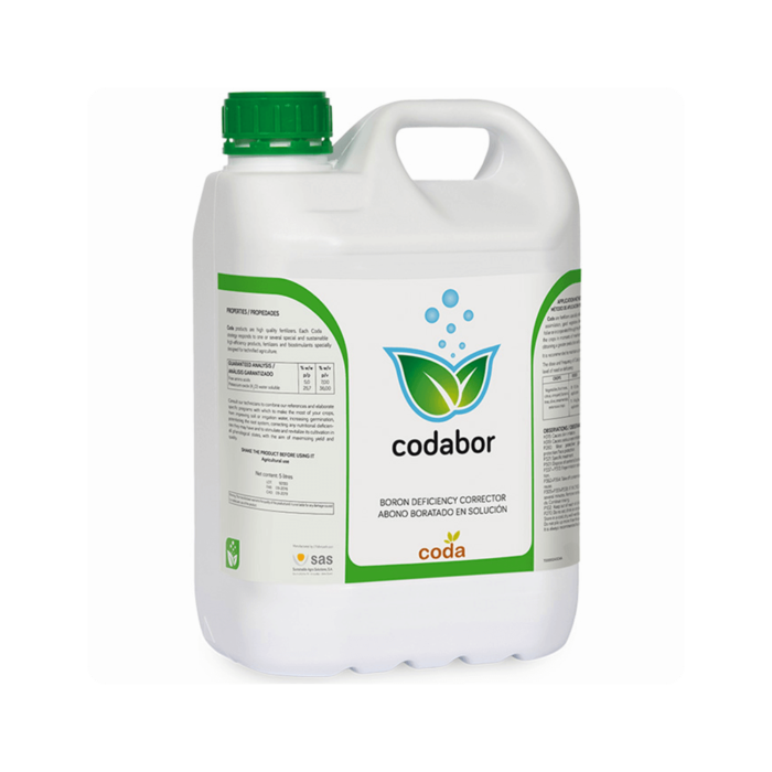 კოდაბორი - Image 1