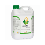 კოდაფოლი 7-21-7