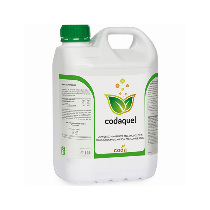 კოდაქველი - Image 1